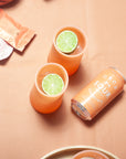terra + peach | stegg set | silicone unbreakable highball glasses